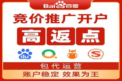 百度推广实战技巧：案例详解